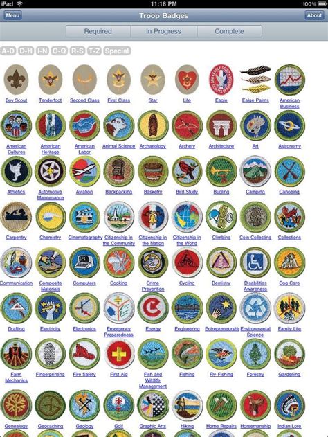 Discovering the Hidden Potential of the Matic Merit Badge